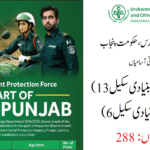 Title: Environment Protection Force Punjab Jobs 2025 – Apply Online for Inspectors & Field Assistants